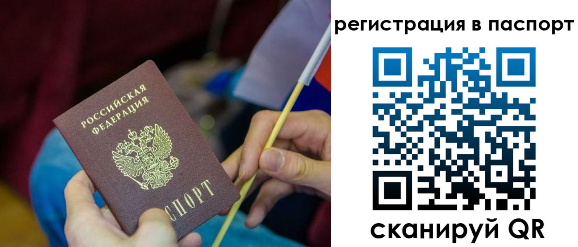 временная регистрация поиск в Новозыбкове